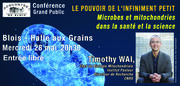 TIMOTHY WAI : LE POUVOIR DE L'INFINIMENT PETIT