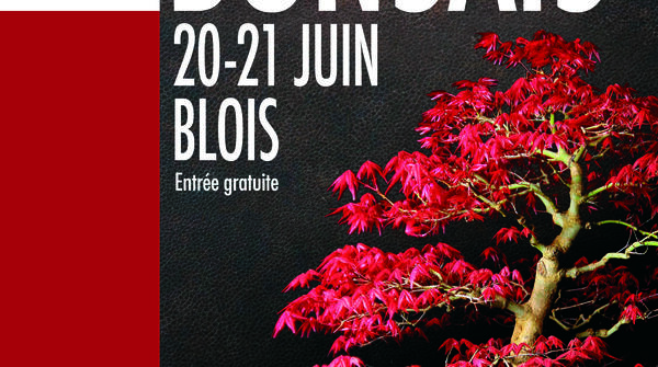 Exposition de bonsaïs