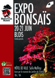 Exposition de bonsaïs
