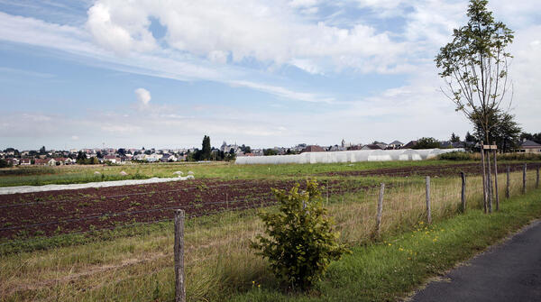 Promenade découverte des bords de Loire et d’un secteur d’agriculture urbaine, la Vacquerie, en Blois Vienne