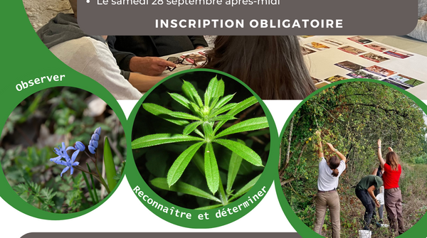 Ateliers participatifs plantes locales 1/3