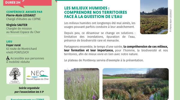 A la découverte des amphibiens