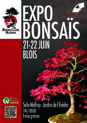 Exposition de bonsaïs