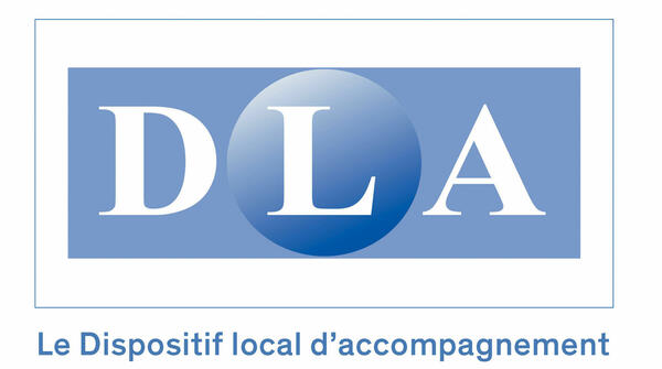 Accompagnement des associations employeuses - DLA