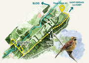 Randonnée découverte du Circuit du Champ de Tir Blois/Saint-Gervais-la-Forêt samedi 17 mai à 9h